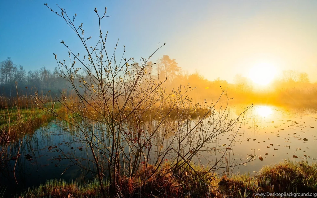 Widescreen Morning Wallpaper Silent Lake Image Nature Picture.jpeg