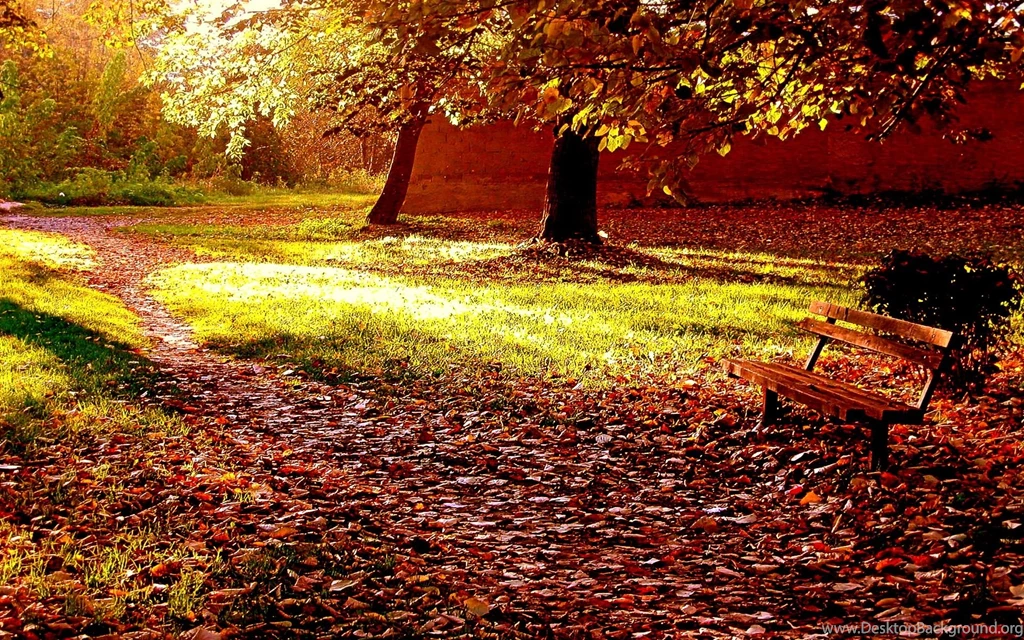 HD Wallpapers Source   Page 318 Of 489   100% Quality HD Desktop ...