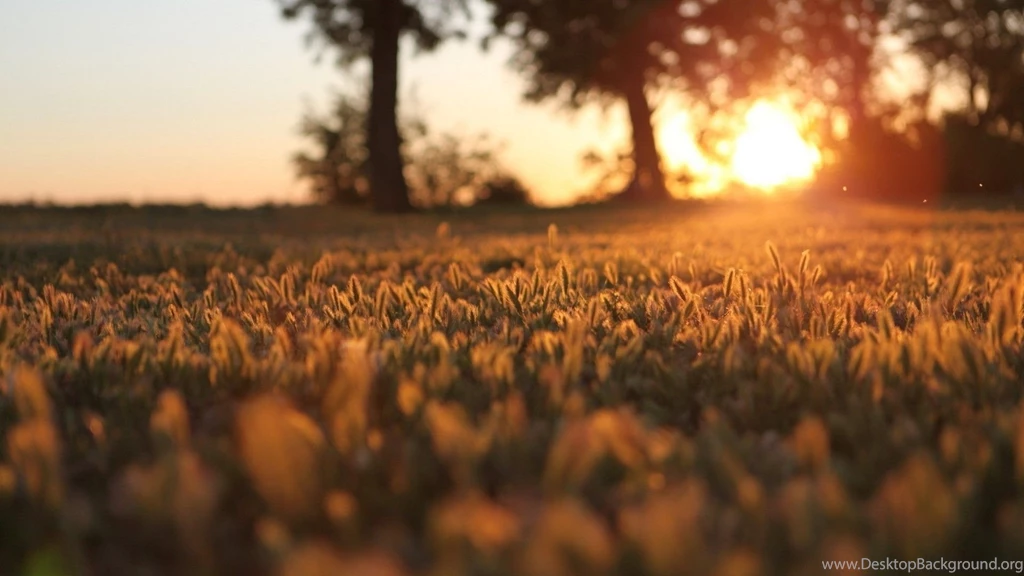 Early Morning HD 1600x1000px