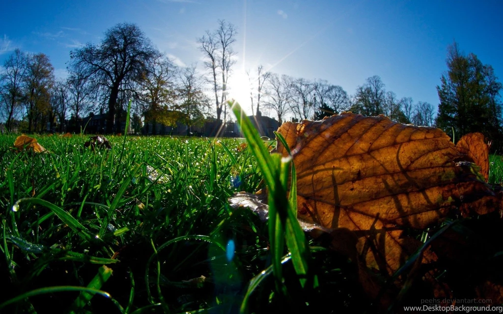 Morning Wallpapers Nature , Nature Morning River Wallpapers HD ...