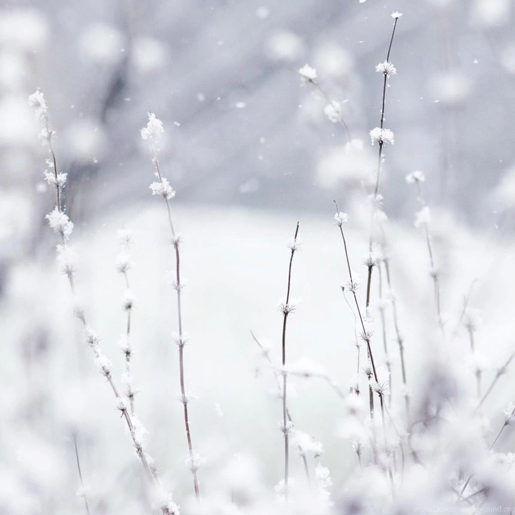 White Snow Jailbreak 4.1 Download   How To Jailbreak Iphone 5c 8.1 ...