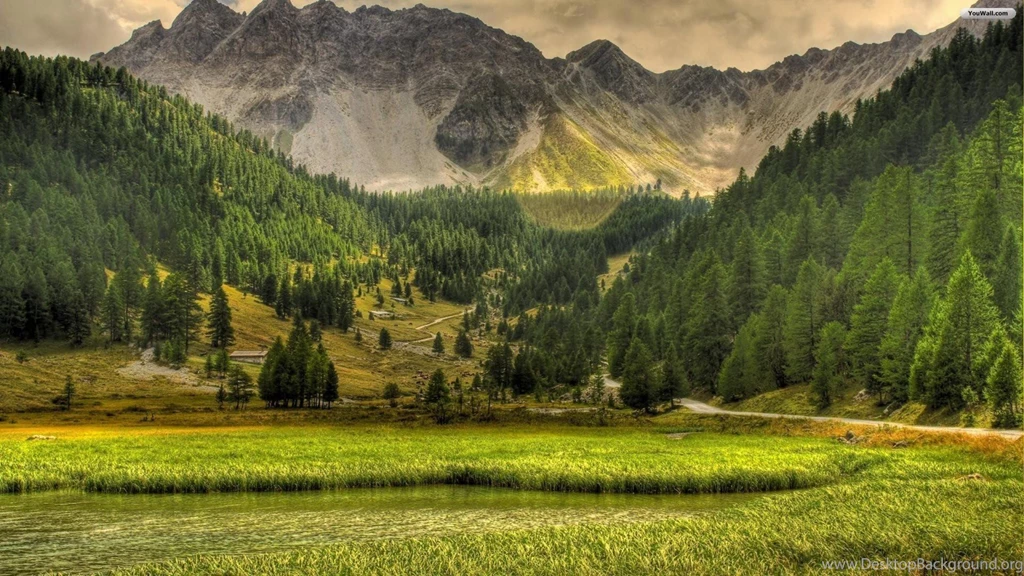 YouWall Green Forest And Mountains Wallpapers Wallpapers ...