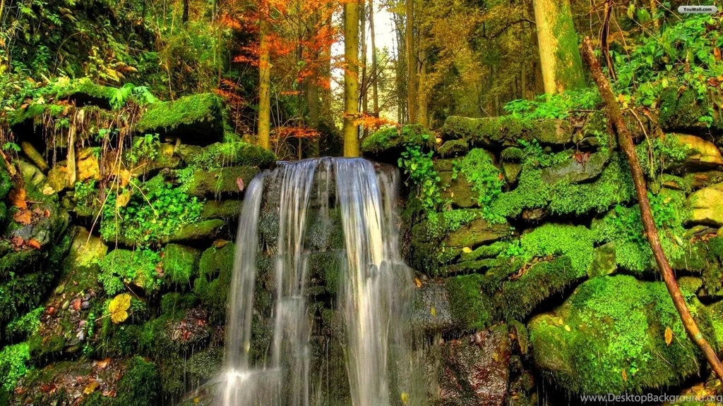 YouWall Forest Waterfall Wallpapers Wallpaper,wallpapers,free ...