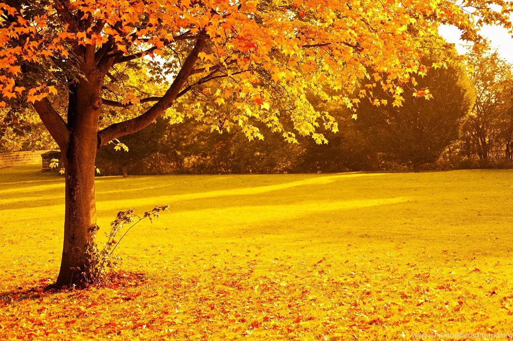 Nature Wallpapers, View, Amazing Landscape, Widescreen, Wallpapers ...