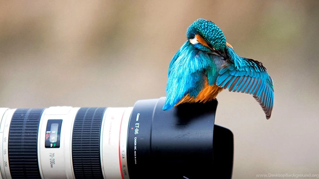 YOU NEVER TAKE A PHOTOGRAPH YOU HAVE TO MAKE IT CatchTheYe