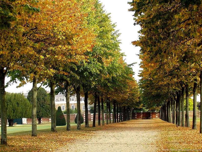 Autumn 9.jpg