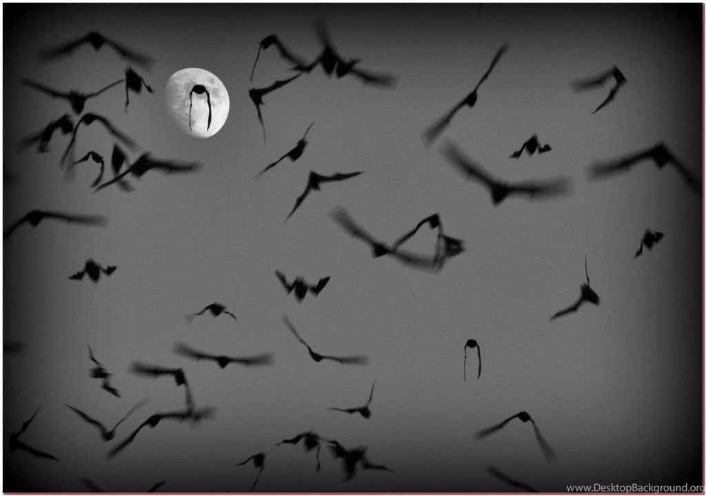 Bats wallpaper 1024x720.jpg