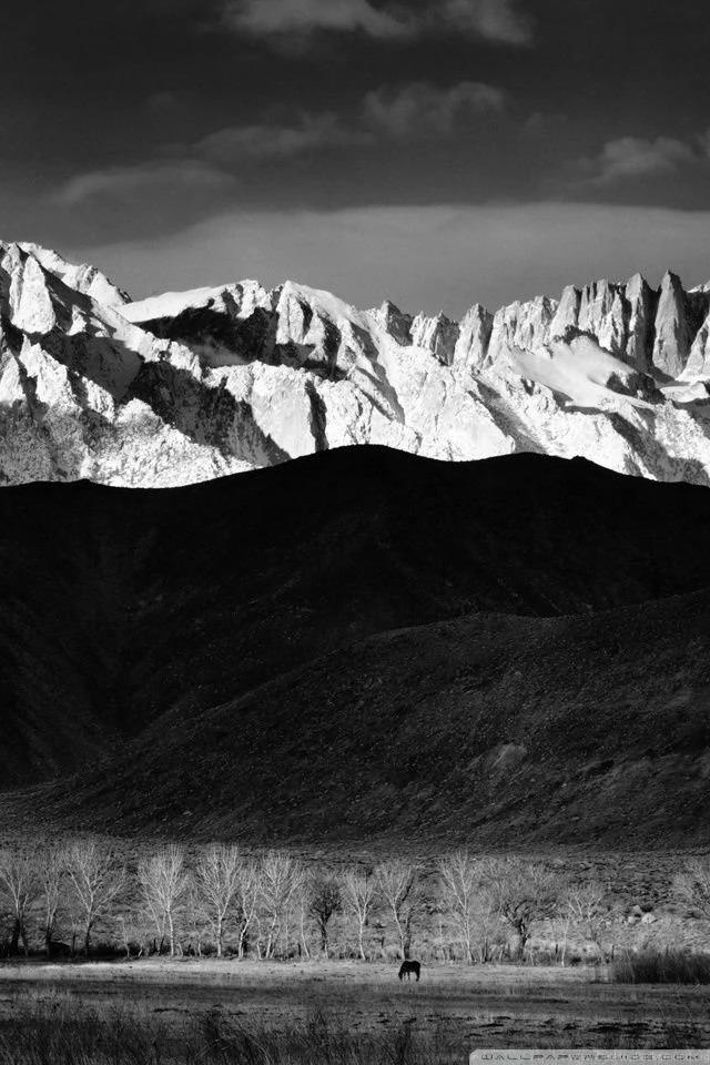 Black And White Winter Landscape HD Desktop Wallpapers : Mobile ...