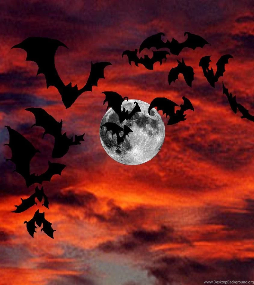 Bat Feast Wallpapers By 66blazingXXsimurgh On DeviantArt