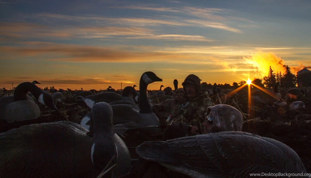 Owatonna Minnesota Goose Hunt