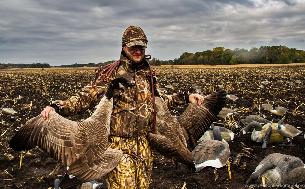 Owatonna Minnesota Goose Hunt