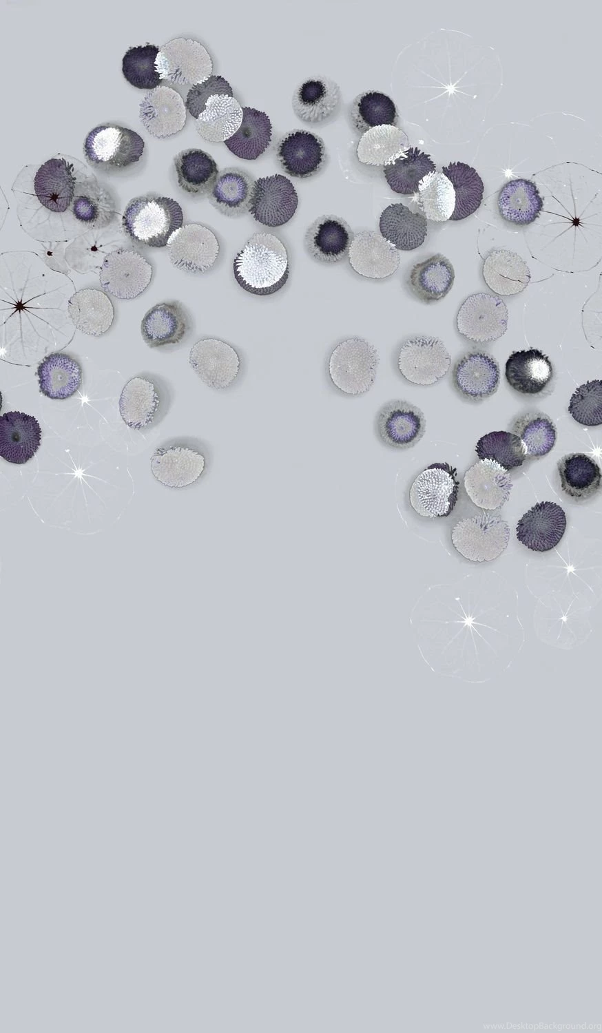 Floral Wallpapers / Linen / Contemporary ALULA Trove