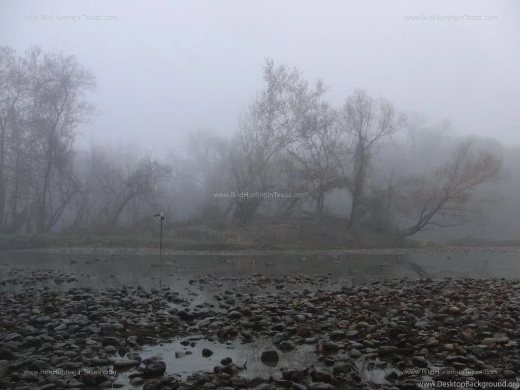 Bird Hunting In Texas Bird Hunting In Texas Page 4 Of 7 Bird ...