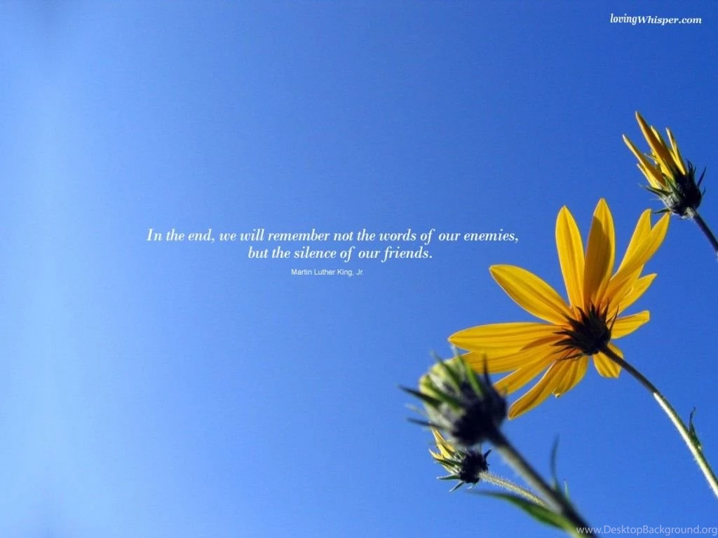 Silence Quotes Wallpapers
