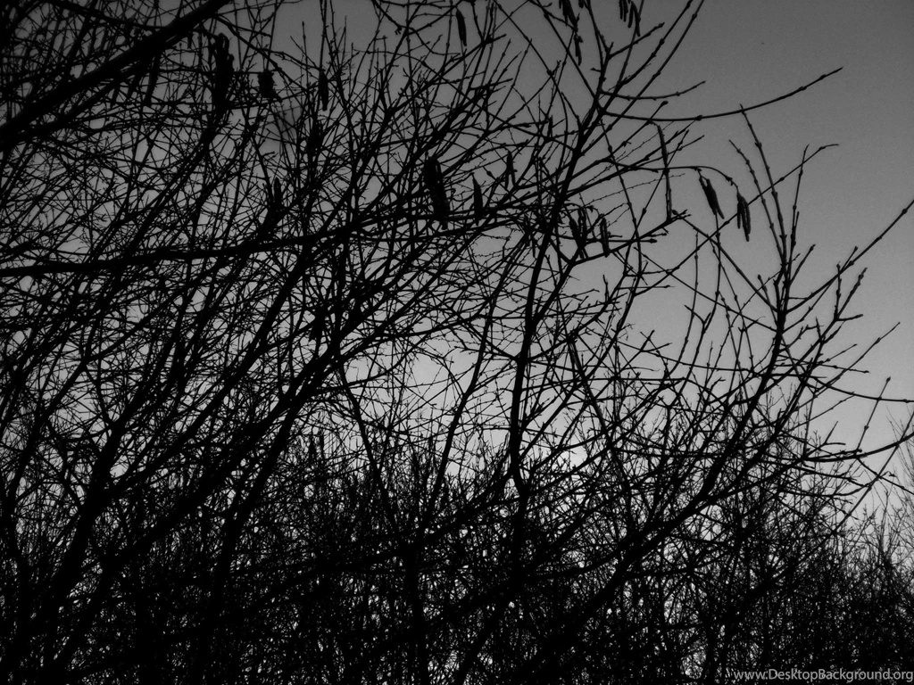 Silence, Wallpapers Metal Nature: Heavy Metal Wallpapers, Pictures ...