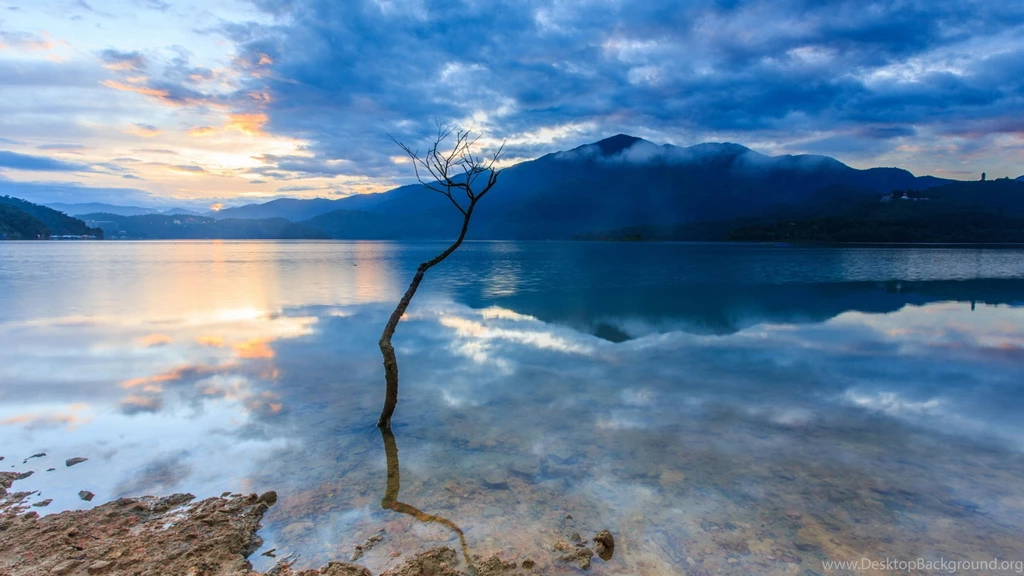 Download Wallpapers 3840x2160 Bush, Branch, Mountain, Lake, Silence ...