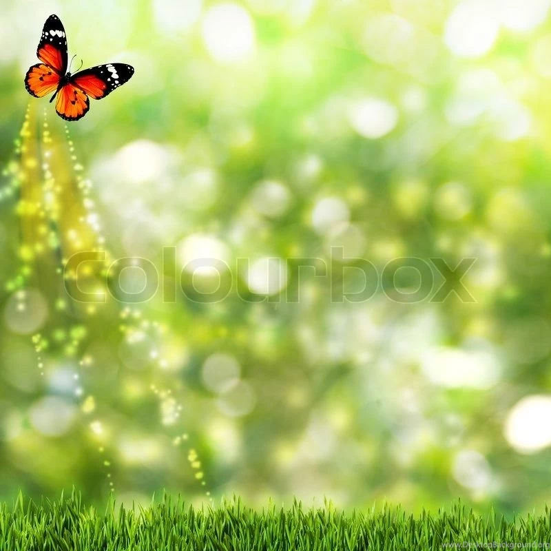 Abstract Summer Backgrounds With Beauty Butterfly