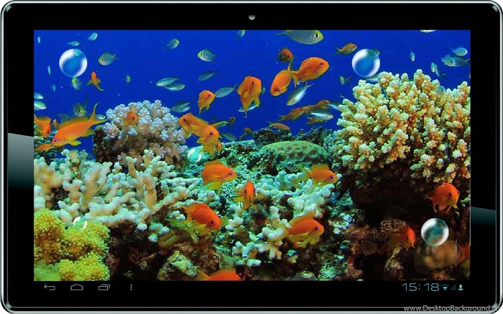 Desktop Aquarium 3d Live Wallpaper Image Num 82