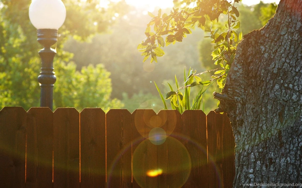 Nature Trees Fences Lanterns Sunlight Picket Fence Wallpapers ...