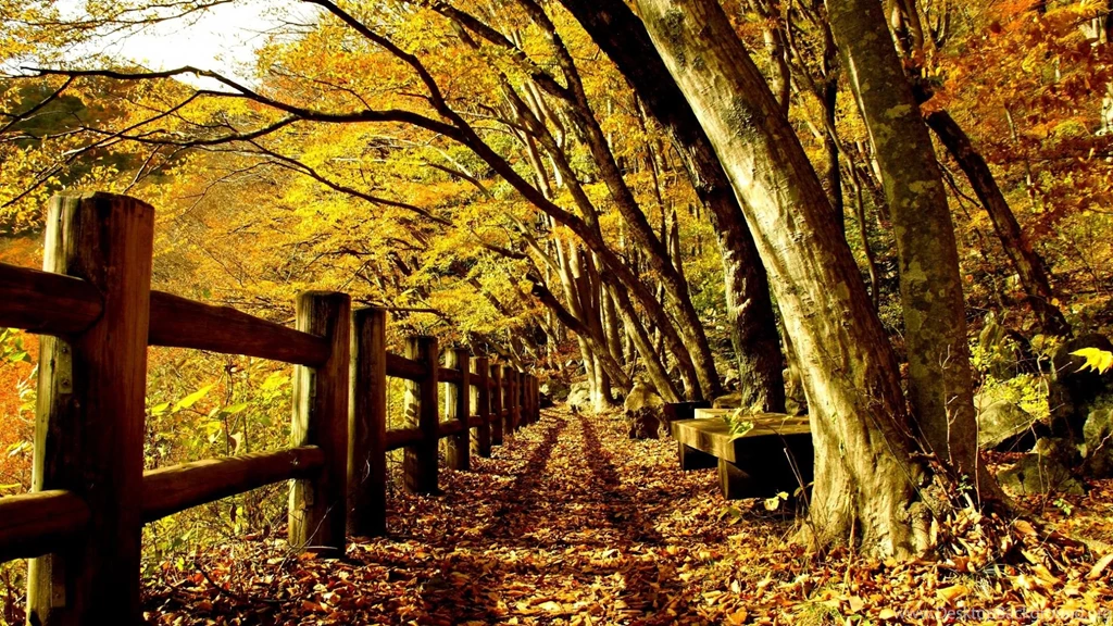 Fence Tag Wallpapers Page 7: Traditional American Home Luxurious ...