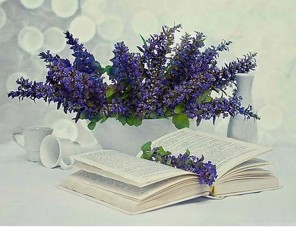 Flowers: Life Flowers Soft Pretty Nature Free Wallpapers For High ...