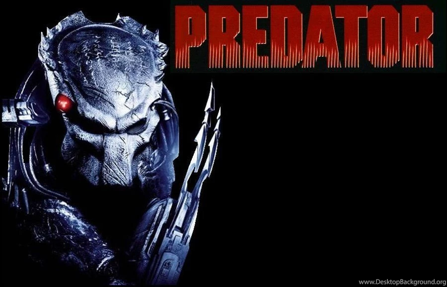 Predator Wallpapers By Nothingspecial1997 On DeviantArt