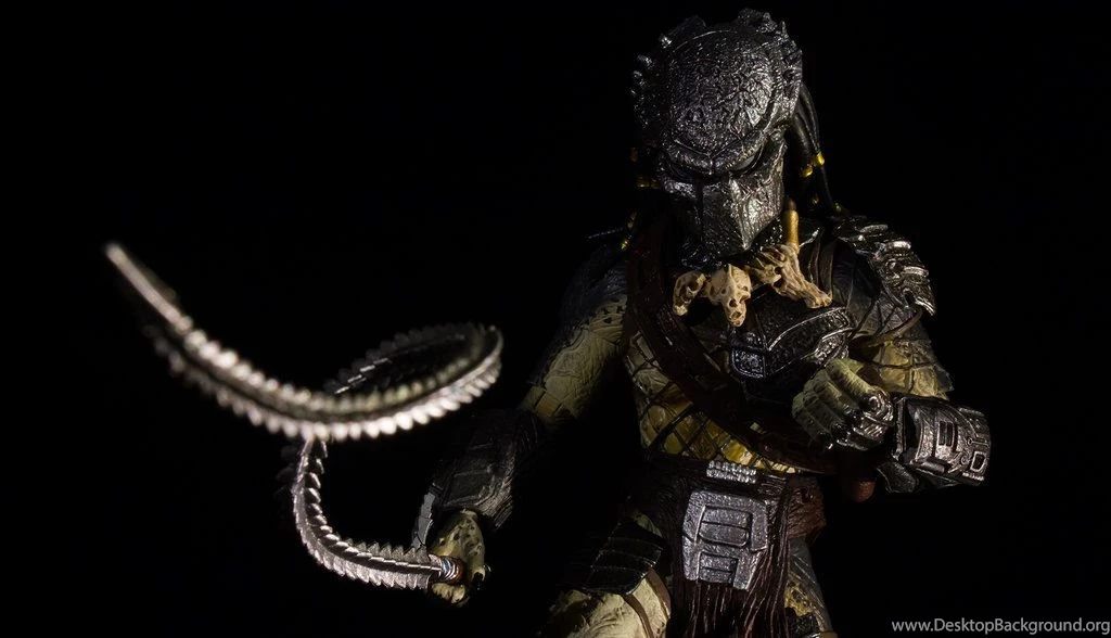 Gallery For Wolf Predator Wallpapers