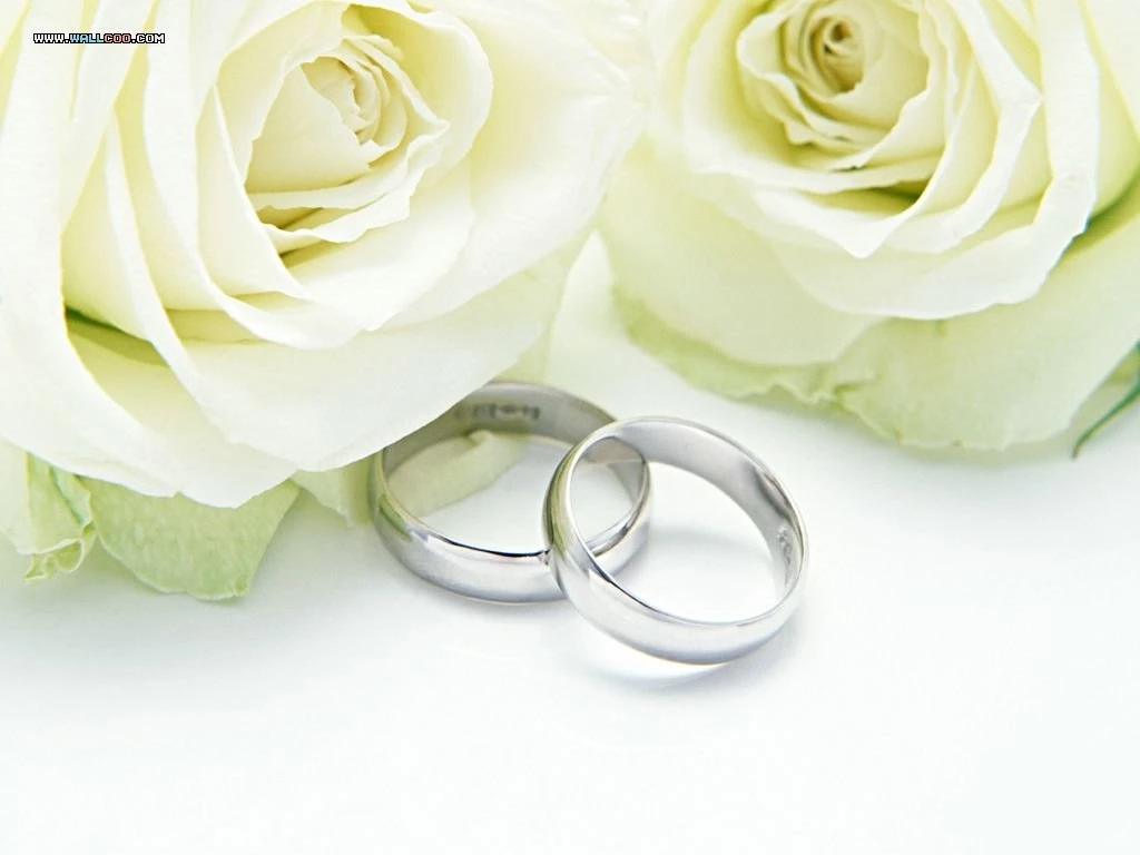 Free Wedding Backgrounds Wallpapers
