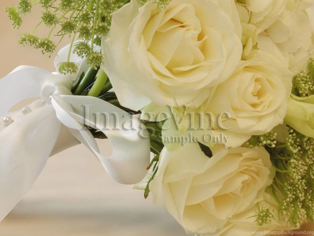 Wedding Backgrounds And PowerPoint Slides For Weddings