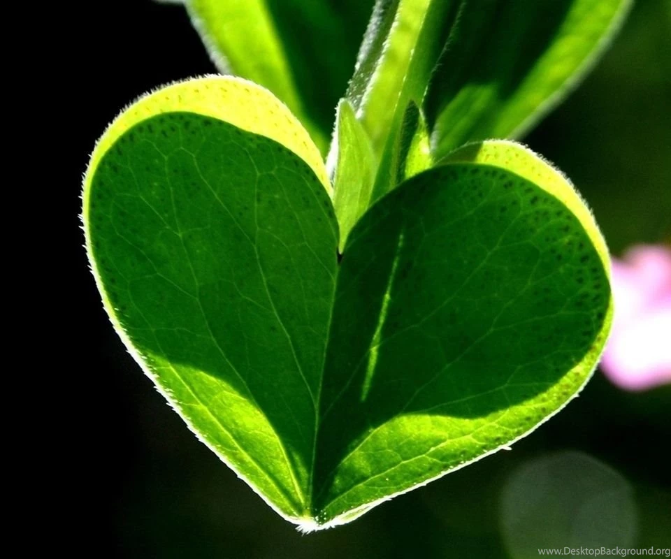 Galaxy S Wallpapers HD   Beautiful, Stunning Wallpapers