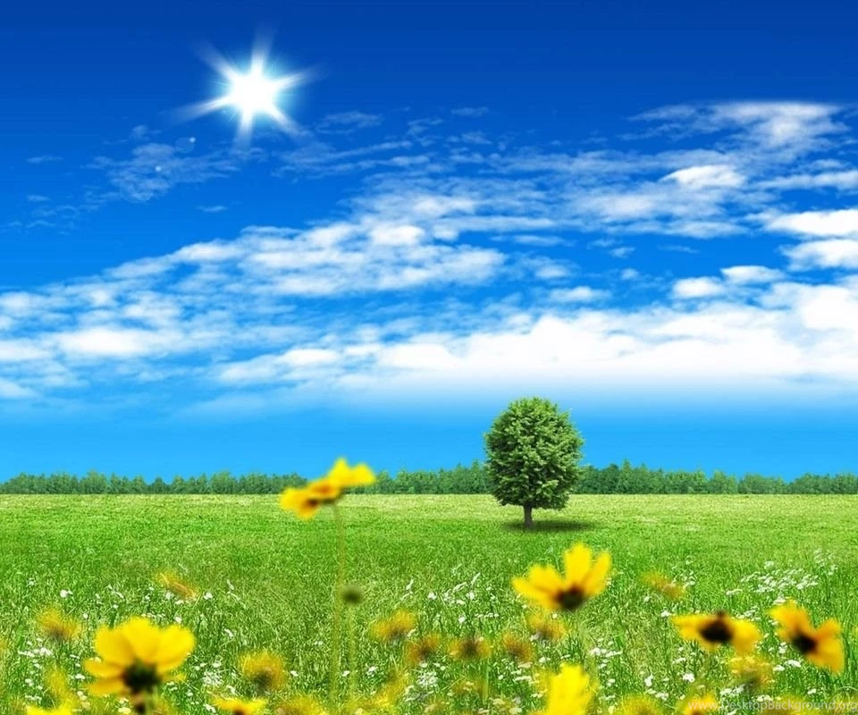 Galaxy S Wallpapers HD   Beautiful, Stunning Wallpapers