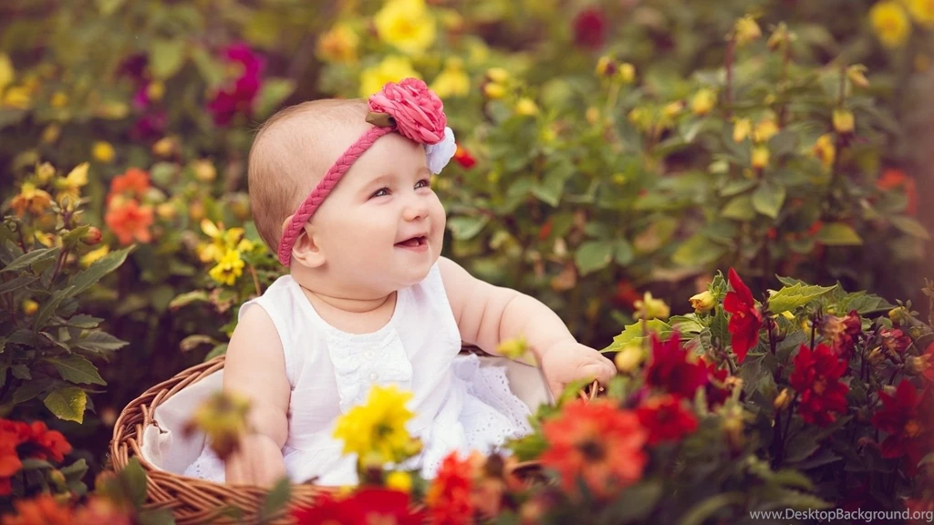 Cute Baby Rose Garden Wallpapers HD