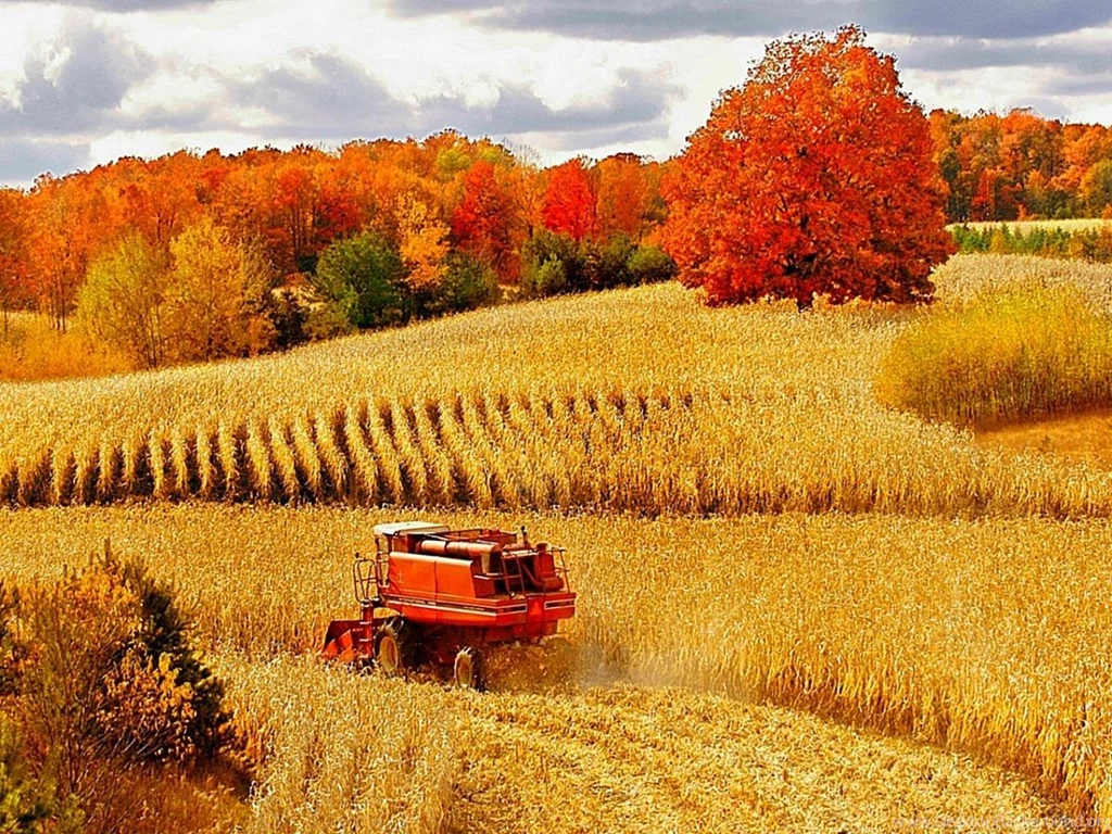 Fall Harvest Wallpapers 3821   Amazing Wallpaperz