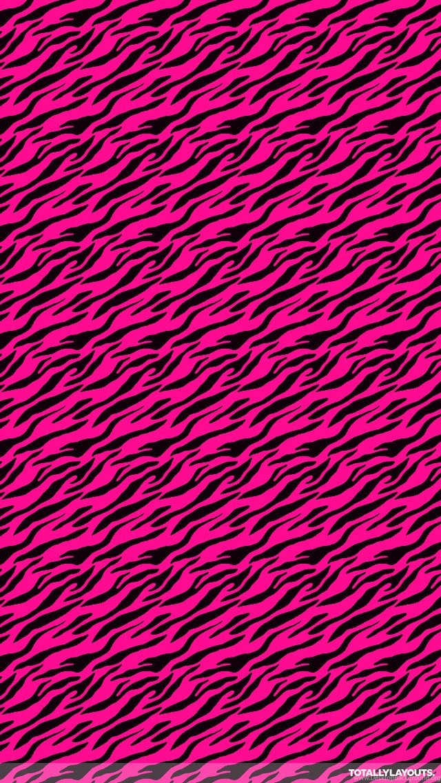 Electric Pink Zebra Print Whatsapp Wallpapers
