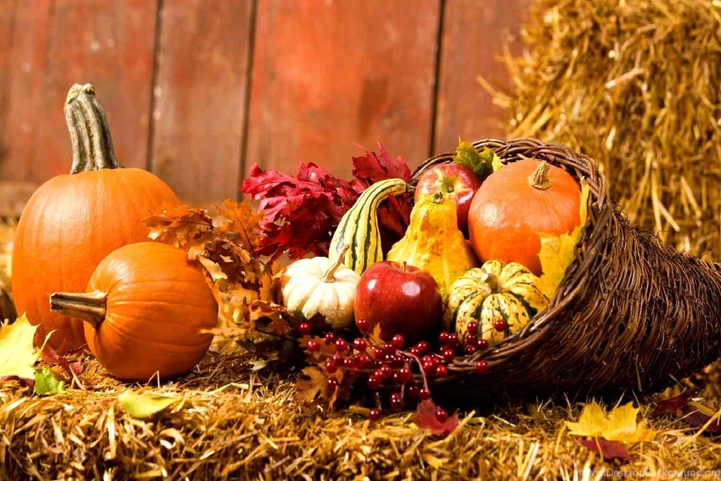 Ino Yamanaka Naruto Anime Free Desktop Wallpapers