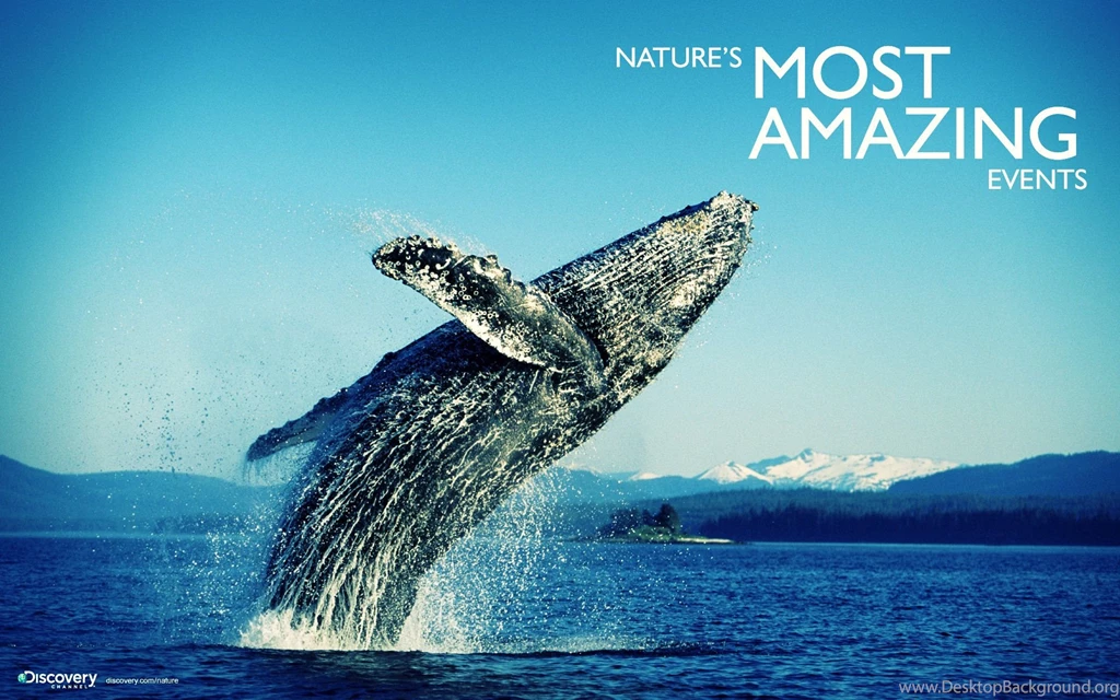 Light, Painting, Background, Graffiti, Wallpaper, Air, Amazing ...