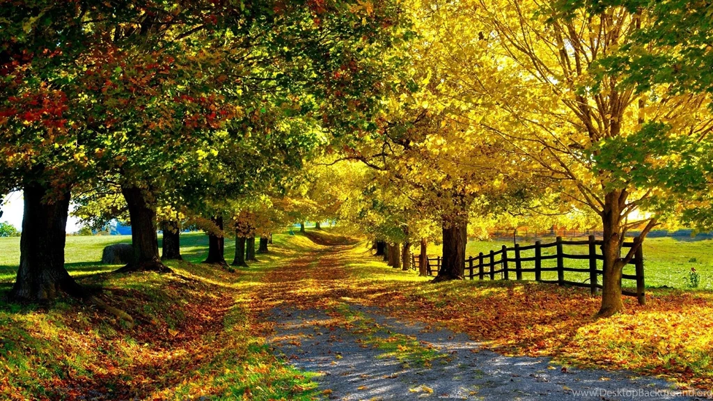 Fall Season Wallpapers Desktop Backgrounds
