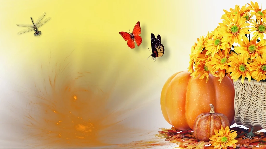 2015 Happy Harvest Festivals Wallpapers