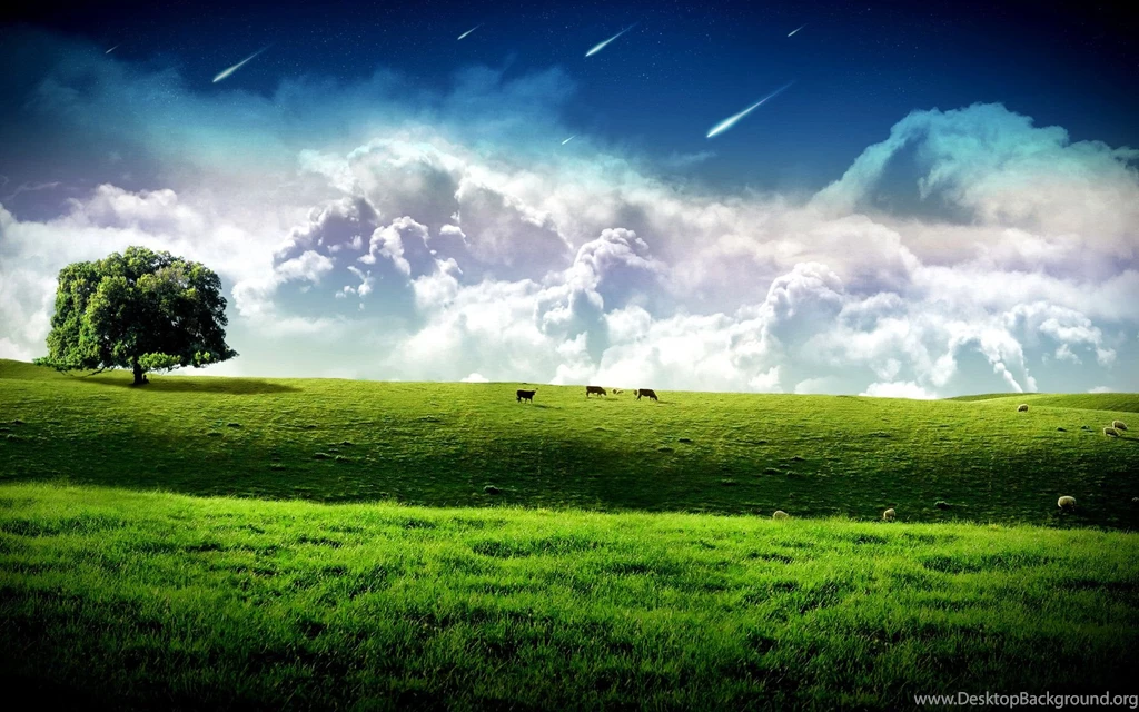 Landscapes Amazing Backgrounds Photography Landscape Grass ...