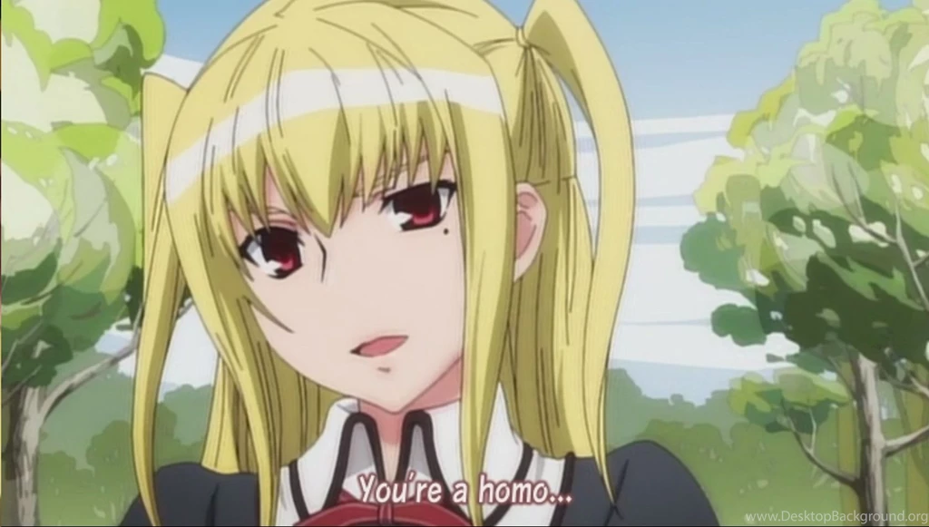 Maria Holic Mariya Shid Wallpapers   (