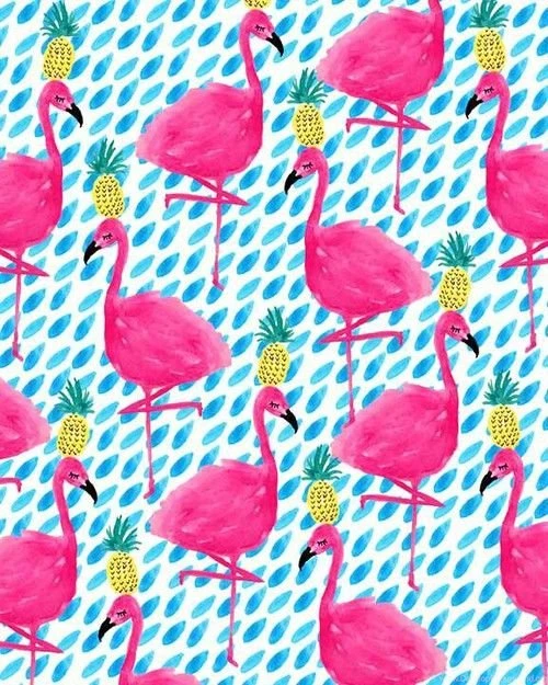 D{reem}Z.. XOxOxO
