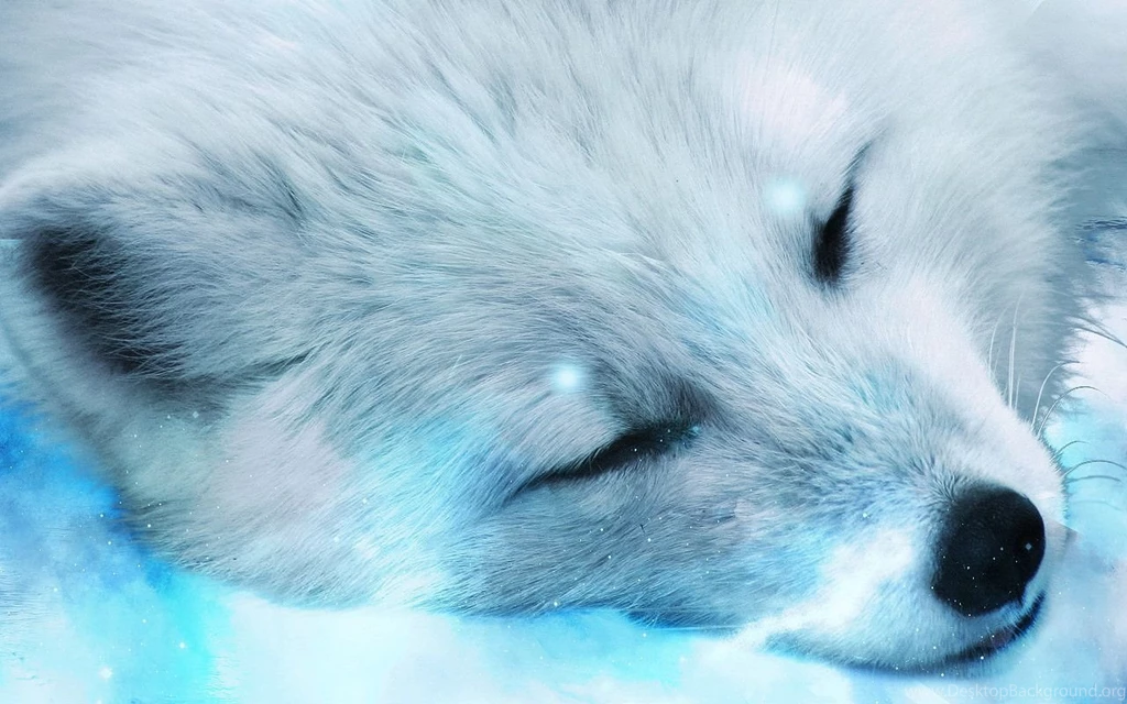 Desktop arctic animal pics wallpaper.jpg
