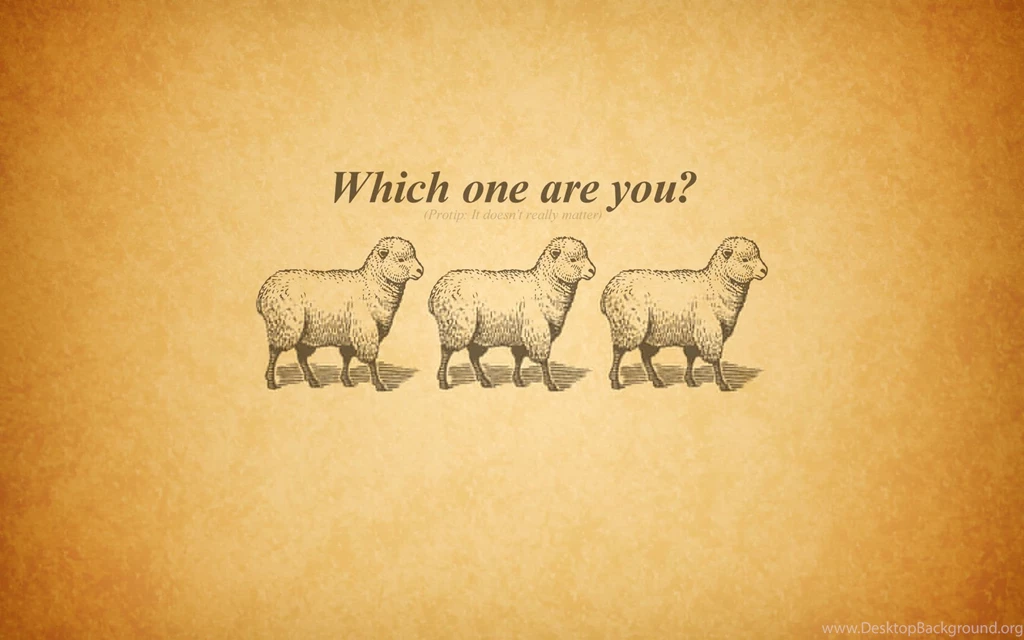 Minimalistic Text Typography Wallpapers