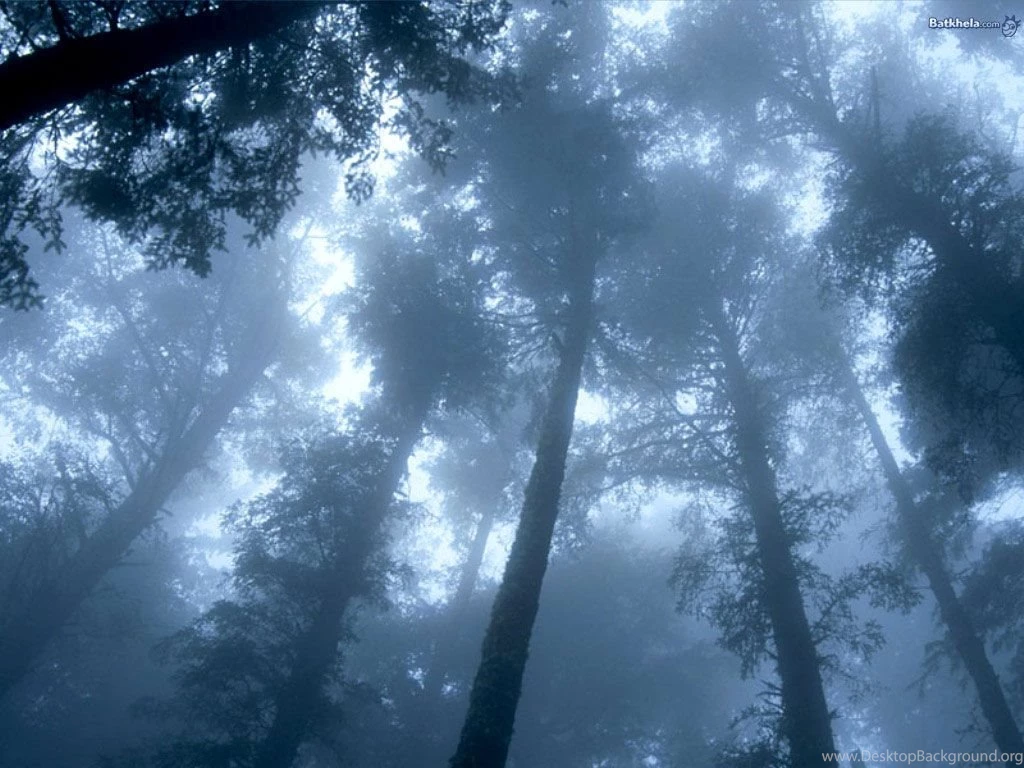 Nature Mother Nature Wallpapers (249958) Fanpop