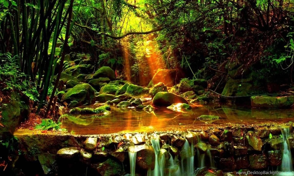 Hd Nature Wallpapers, Desktop Images, Perfect, Mother Nature, Sun ...