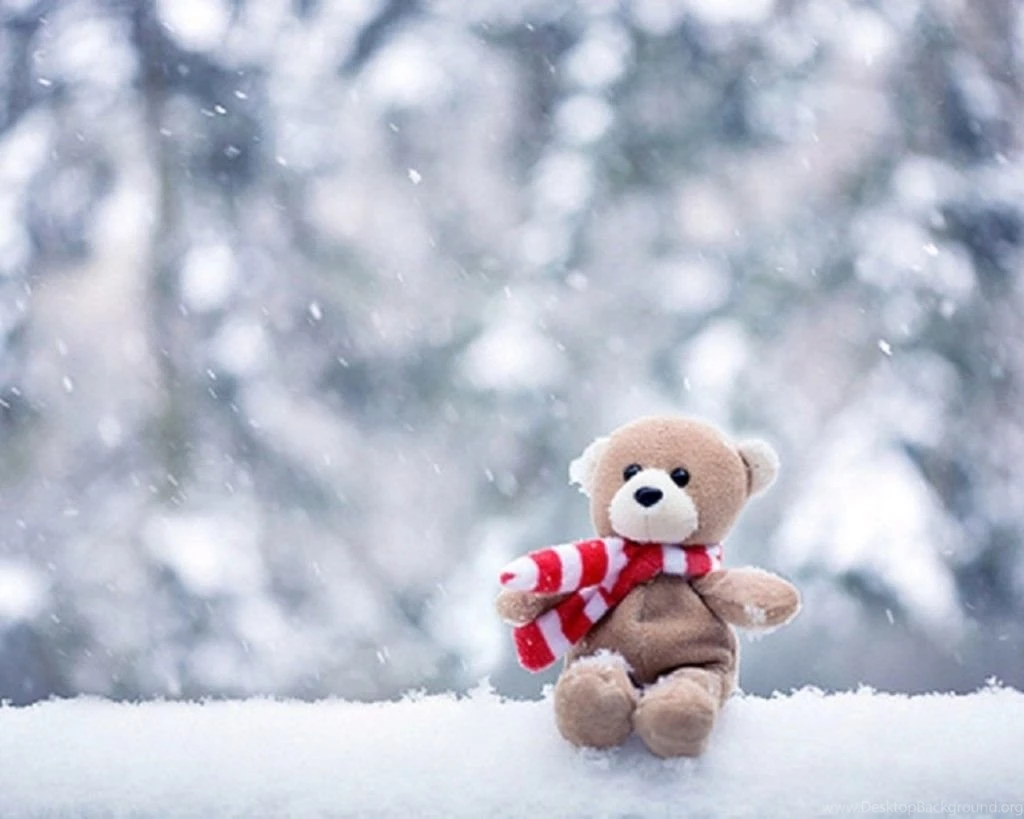 Cute Teddy Bear In Snow Fall
