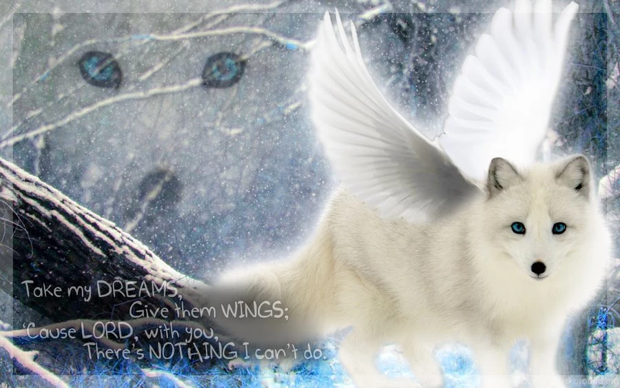 Desktop Wallpaper: Winged Arctic Fox (by Fellixe)