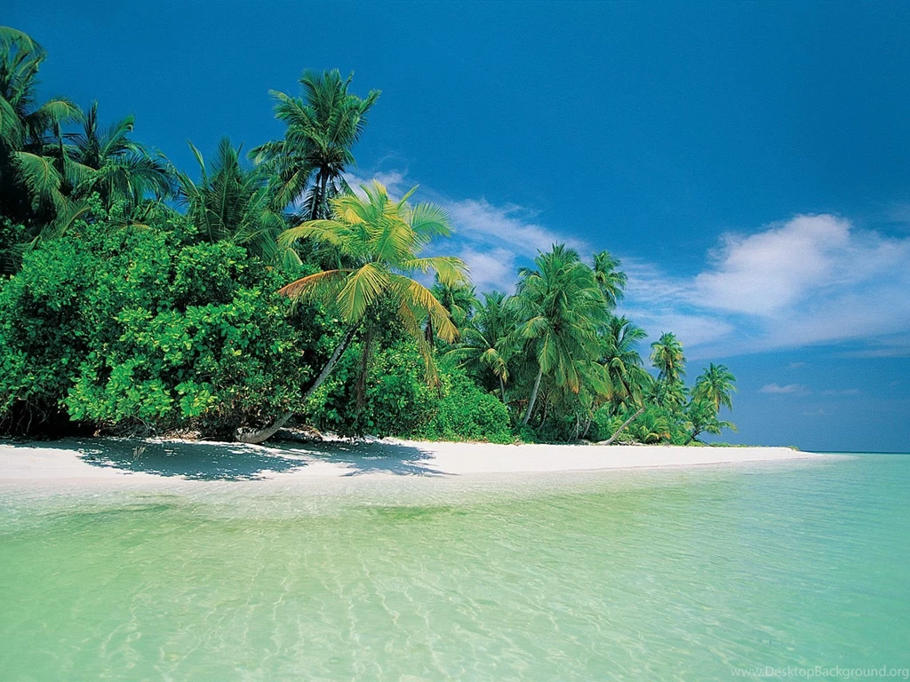 Beaches Wallpapers   (