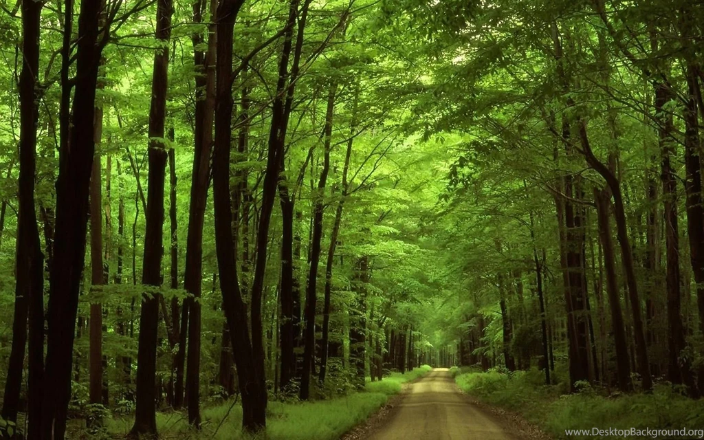 Top 22 Awesome,amazing And Beautiful Greenery Wallpapers In HD ...