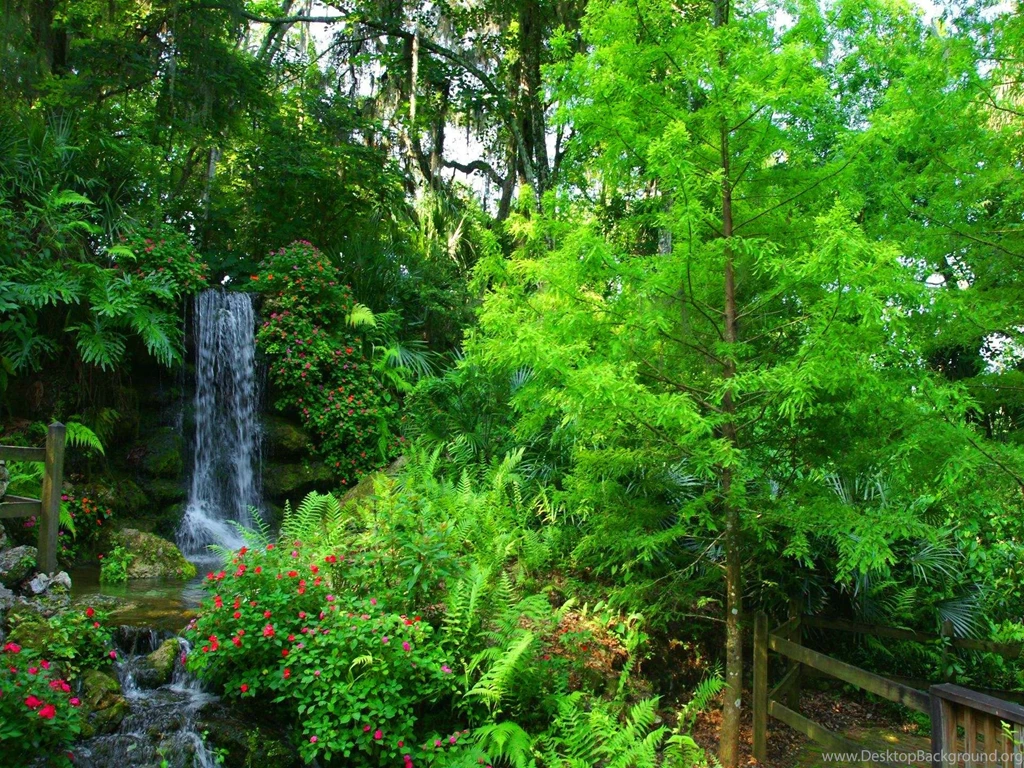 Greenery HD Wallpapers Download Free HD Desktop Wallpapers ...